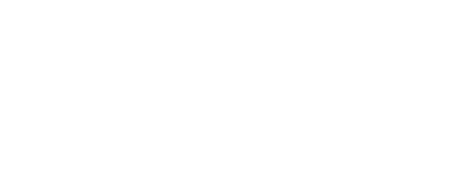 Zies, Consultoría Estratégica